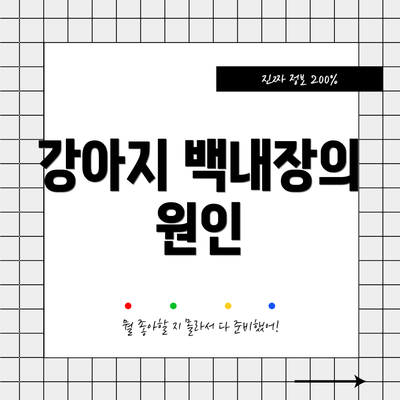 강아지 백내장의 원인