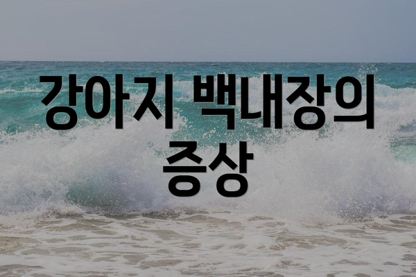 강아지 백내장의 증상