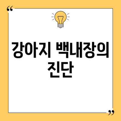 강아지 백내장의 진단
