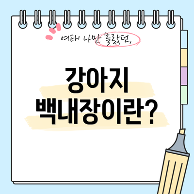 강아지 백내장이란?