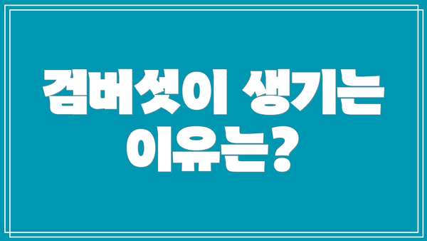 검버섯이 생기는 이유는?