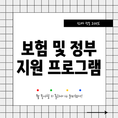보험 및 정부 지원 프로그램