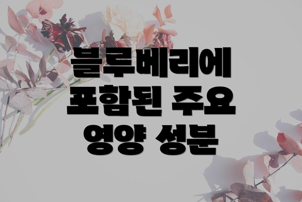 블루베리에 포함된 주요 영양 성분