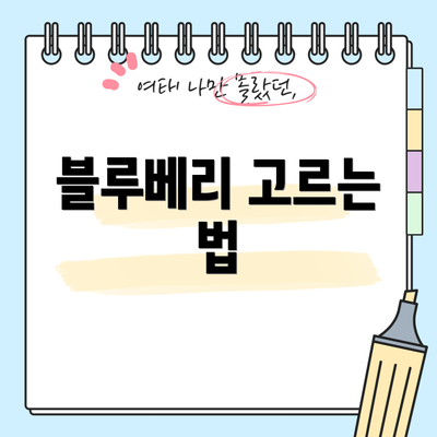 블루베리 고르는 법