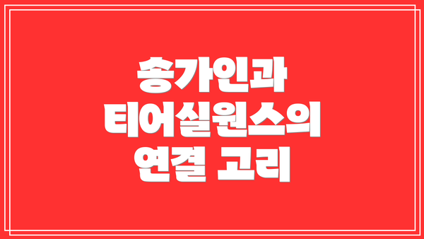 송가인과 티어실원스의 연결 고리