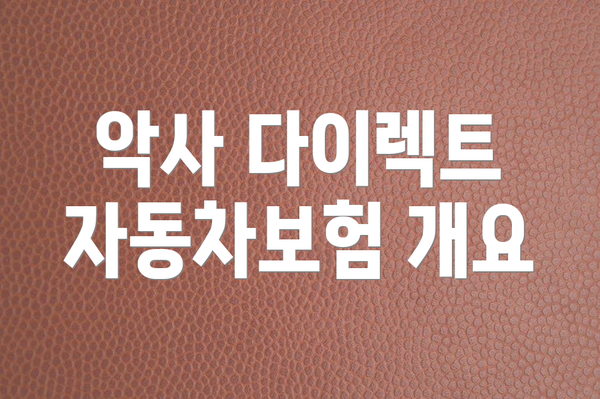 악사 다이렉트 자동차보험 개요