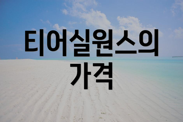 티어실원스의 가격