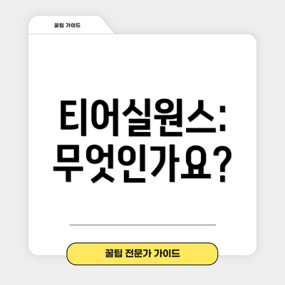 티어실원스: 무엇인가요?
