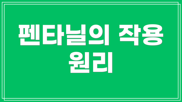 펜타닐의 작용 원리