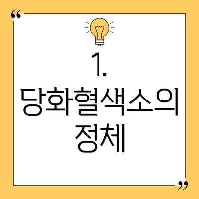 1. 당화혈색소의 정체