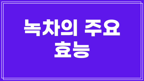 녹차의 주요 효능