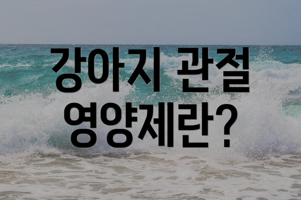 강아지 관절 영양제란?