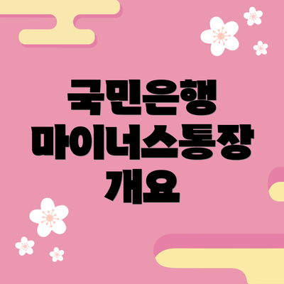 국민은행 마이너스통장 개요