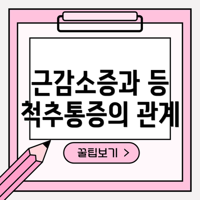 근감소증과 등 척추통증의 관계