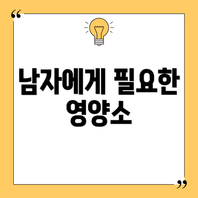 남자에게 필요한 영양소