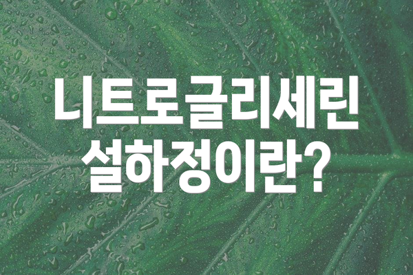 니트로글리세린 설하정이란?
