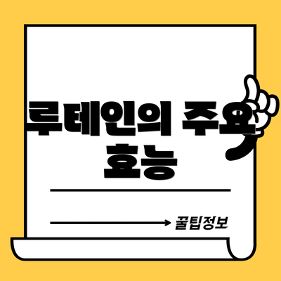 루테인의 주요 효능