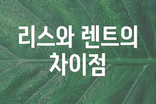 리스와 렌트의 차이점