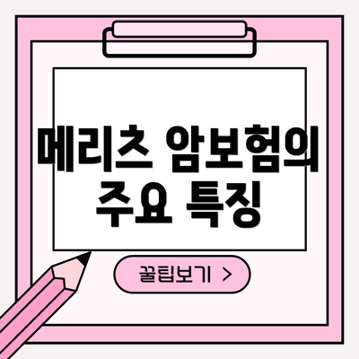 메리츠 암보험의 주요 특징