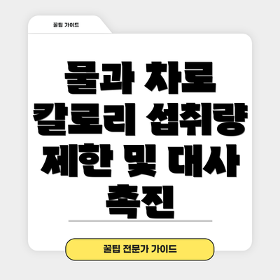물과 차로 칼로리 섭취량 제한 및 대사 촉진