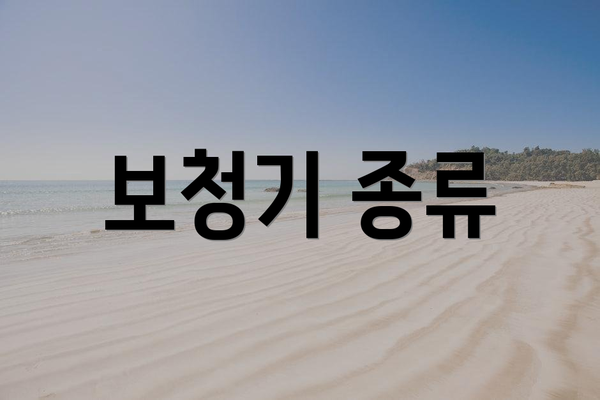 보청기 종류