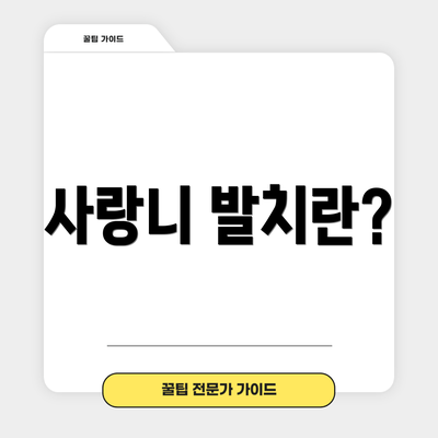 사랑니 발치란?