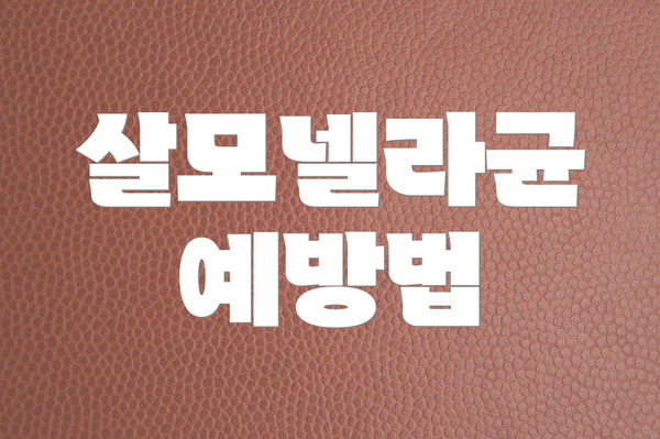살모넬라균 예방법