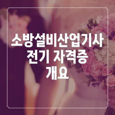 소방설비산업기사 전기 자격증 개요