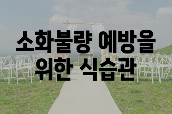 소화불량 예방을 위한 식습관
