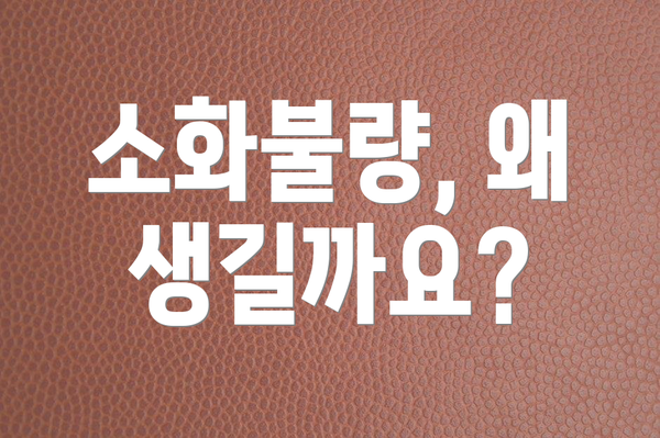 소화불량, 왜 생길까요?