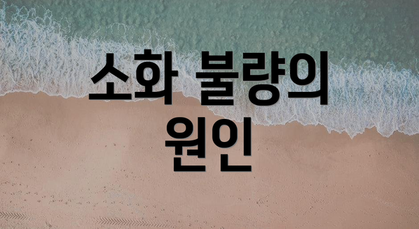 소화 불량의 원인