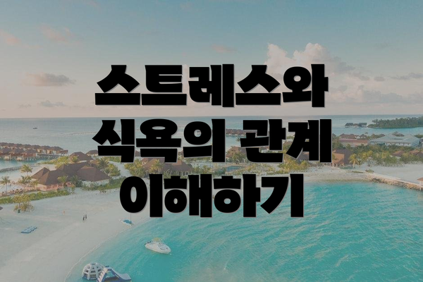 스트레스와 식욕의 관계 이해하기