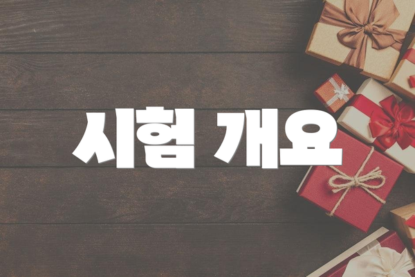시험 개요