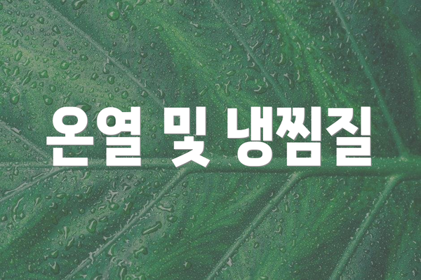온열 및 냉찜질