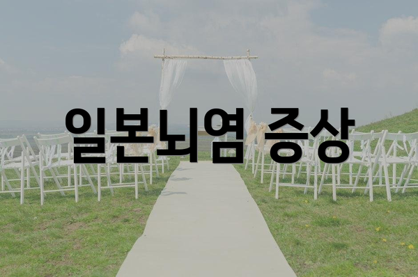 일본뇌염 증상