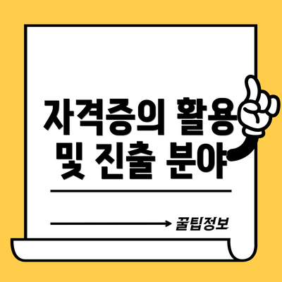 자격증의 활용 및 진출 분야