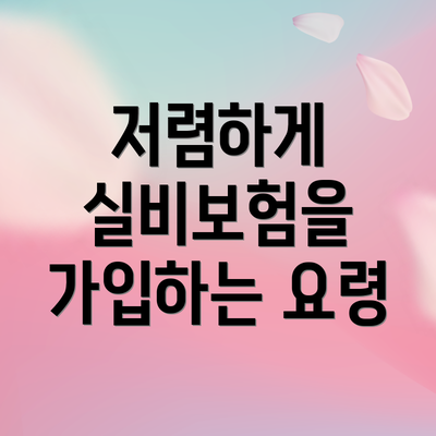 저렴하게 실비보험을 가입하는 요령