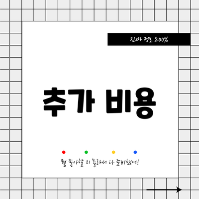 추가 비용