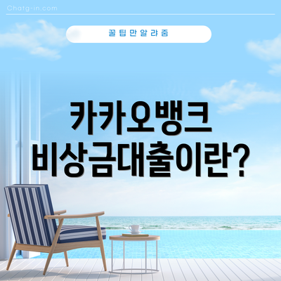 카카오뱅크 비상금대출이란?