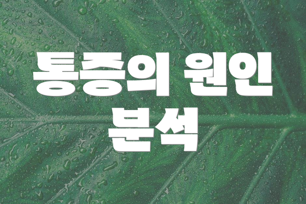 통증의 원인 분석