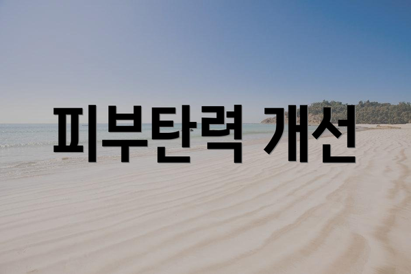 피부탄력 개선