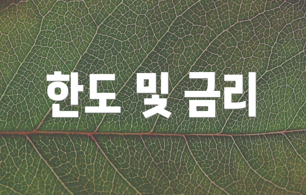 한도 및 금리