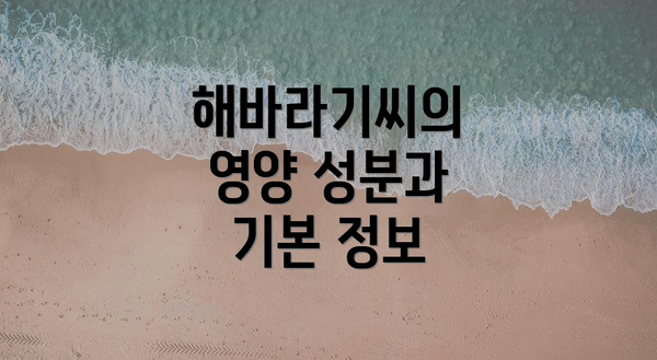 해바라기씨의 영양 성분과 기본 정보