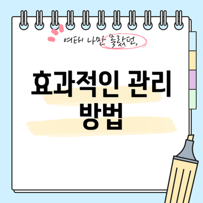 효과적인 관리 방법