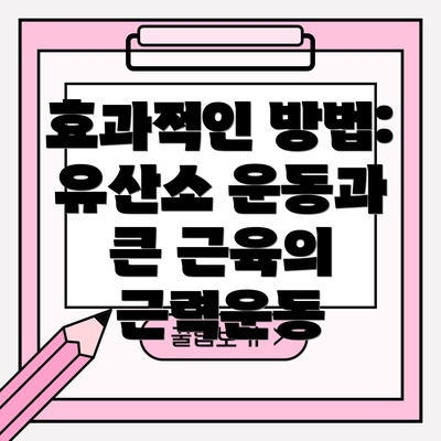 효과적인 방법: 유산소 운동과 큰 근육의 근력운동