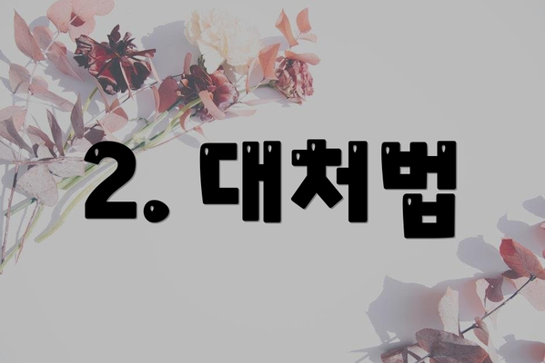 2. 대처법