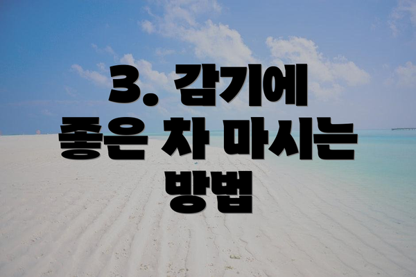 3. 감기에 좋은 차 마시는 방법