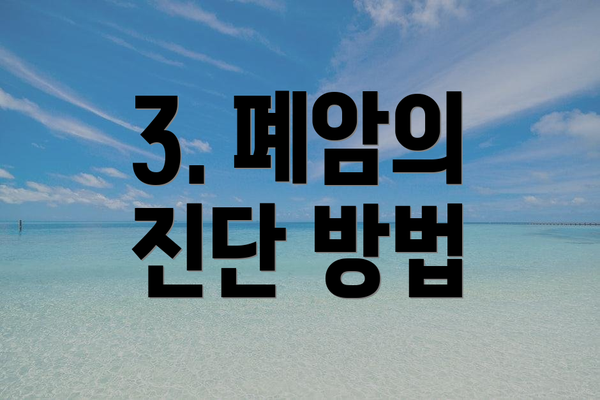 3. 폐암의 진단 방법