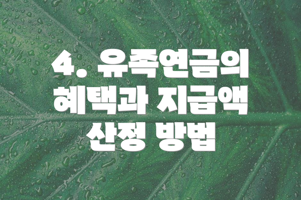 4. 유족연금의 혜택과 지급액 산정 방법