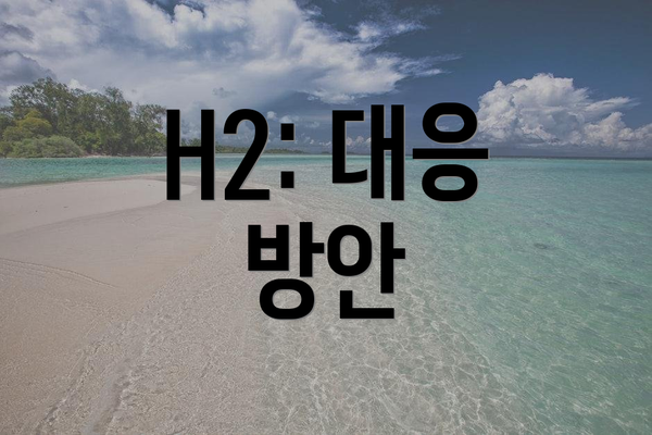 H2: 대응 방안